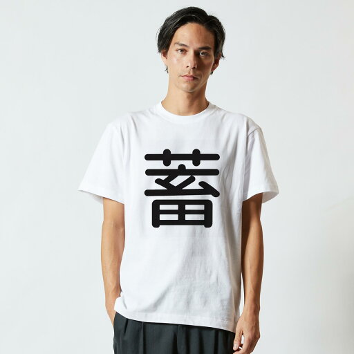 Tシャツ メンズ 半袖 ホワイト グレー デザイン S M L XL 2XL Tシャツ ティーシャツ T shirt 029578 蓄