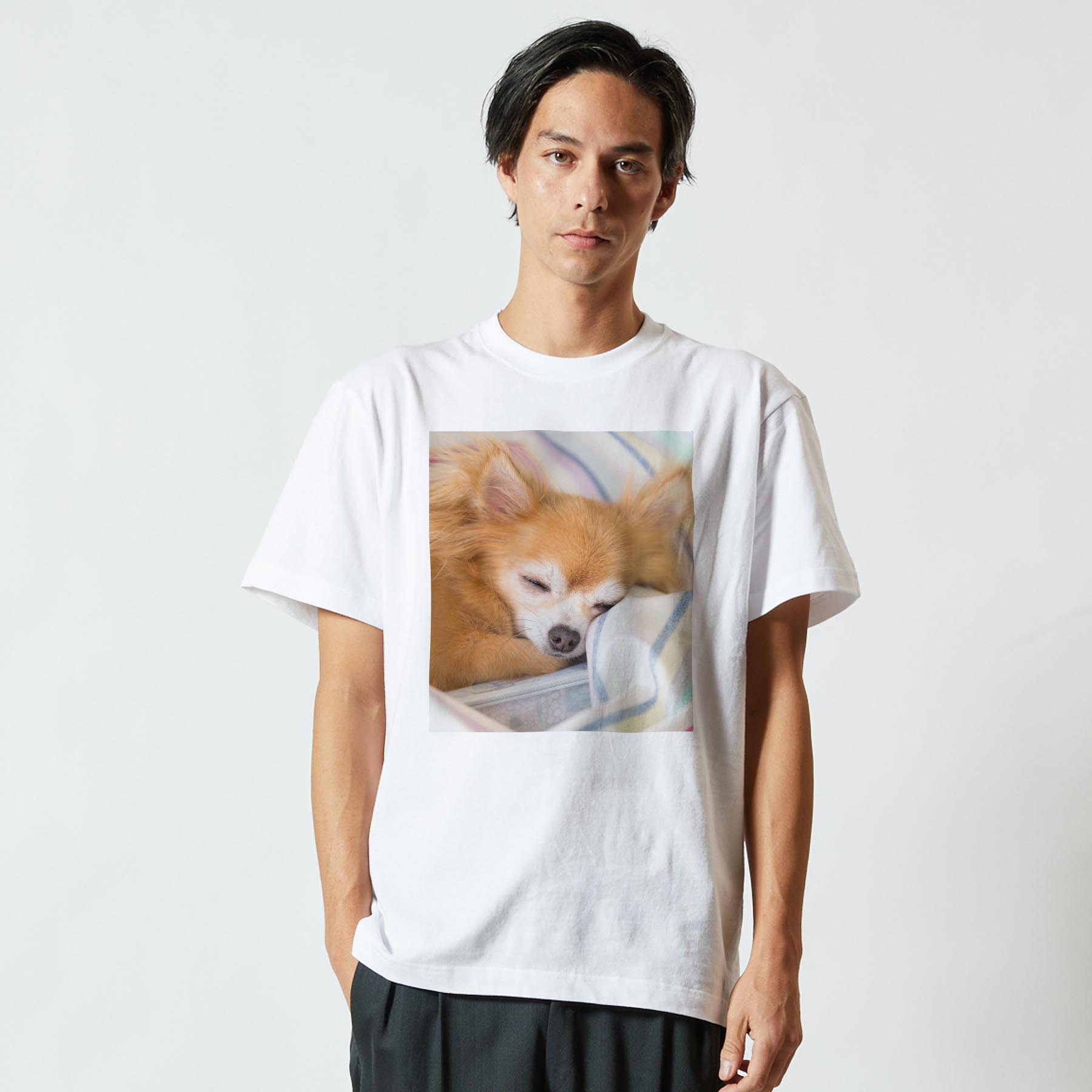 Tシャツ メンズ 半袖 ホワイト グレー デザイン S M L XL 2XL Tシャツ ティーシャツ T shirt 014826 犬　チワワ　写真