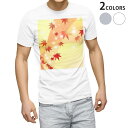 Tシャツ メンズ 半袖 ホワイト グレー デザイン S M L XL 2XL Tシャツ ティーシャツ T shirt 002469 紅葉 イラスト