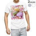 Tシャツ メンズ 半袖 ホワイト グレー デザイン S M L XL 2XL Tシャツ ティーシャツ T shirt 002600 マカロン カラフル 写真