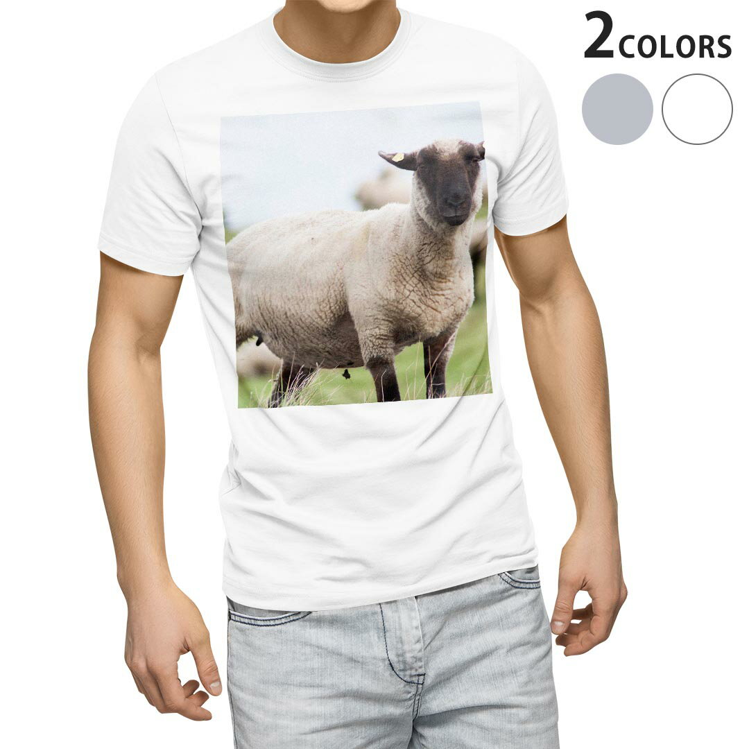 Tシャツ メンズ 半袖 ホワイト グレー デザイン S M L XL 2XL Tシャツ ティーシャツ T shirt 002653 ひつじ　動物　写真