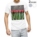 Tシャツ メンズ 半袖 ホワイト グレー デザイン S M L XL 2XL Tシャツ ティーシャツ T shirt 002731 花 チューリップ 写真