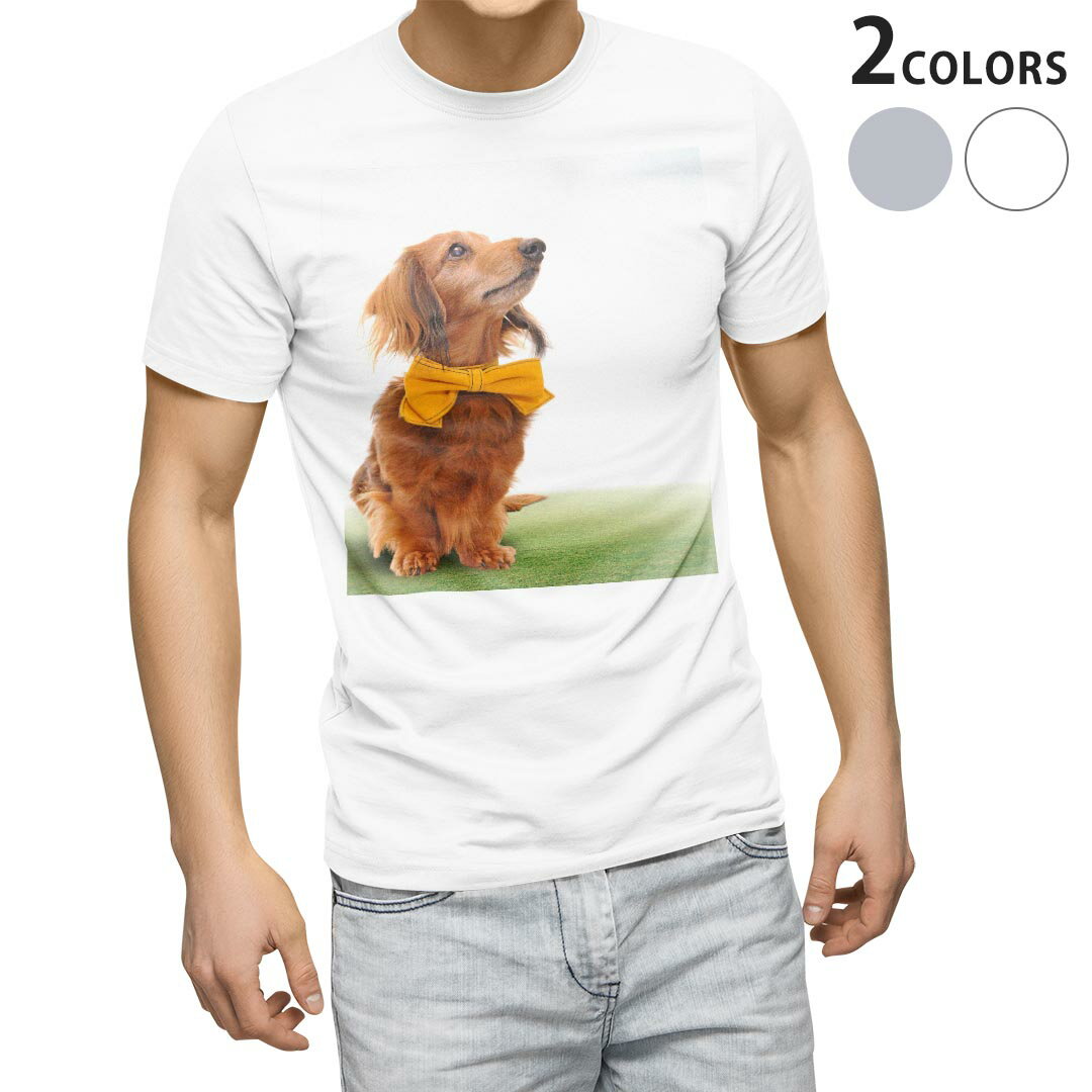 Tシャツ メンズ 半袖 ホワイト グレー デザイン S M L XL 2XL Tシャツ ティーシャツ T shirt 002852 犬　動物　写真