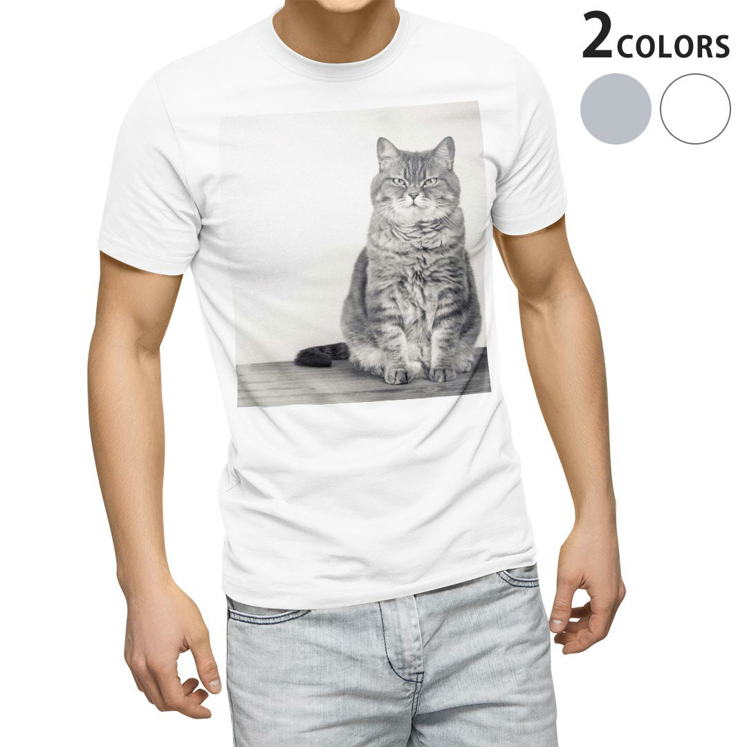 Tシャツ メンズ 半袖 ホワイト グレー デザイン S M L XL 2XL Tシャツ ティーシャツ T shirt 002901 猫　動物　写真