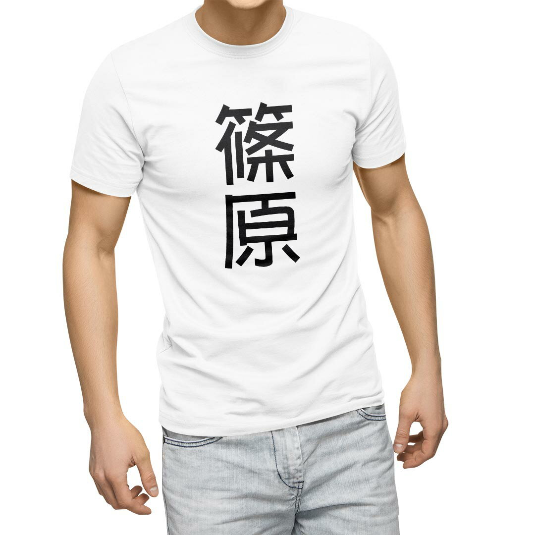 Tシャツ メンズ 半袖 ホワイト グレー デザイン S M L XL 2XL Tシャツ ティーシャツ T shirt 021188 苗字 名前 篠原