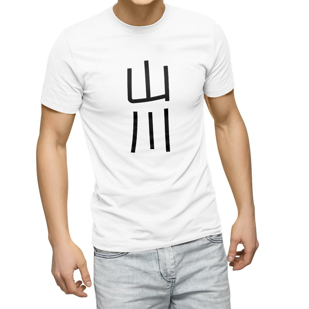 Tシャツ メンズ 半袖 ホワイト グレー デザイン S M L XL 2XL Tシャツ ティーシャツ T shirt 021317 苗字 名前 山川