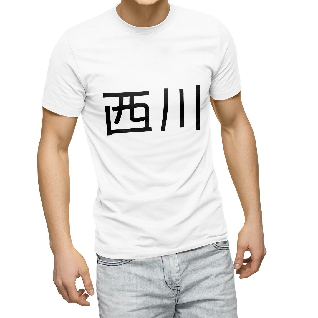 Tシャツ メンズ 半袖 ホワイト グレー デザイン S M L XL 2XL Tシャツ ティーシャツ T shirt 021593 苗字 名前 西川