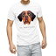 Tシャツ メンズ 半袖 ホワイト グレー デザイン S M L XL 2XL Tシャツ ティーシャツ T shirt 022606 犬 セント・バーナード 1,780円