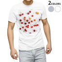 Tシャツ メンズ 半袖 ホワイト グレー デザイン S M L XL 2XL Tシャツ ティーシャツ T shirt 023104 さくらんぼ 写真 フルーツ 果物