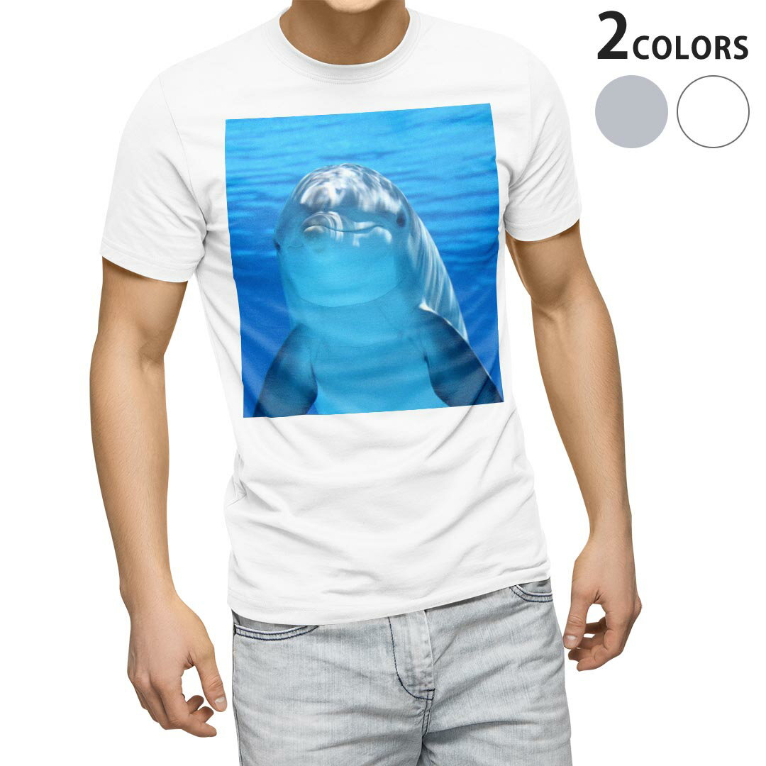 Tシャツ メンズ 半袖 ホワイト グレー デザイン S M L XL 2XL Tシャツ ティーシャツ T shirt 023228 イルカ　動物　写真