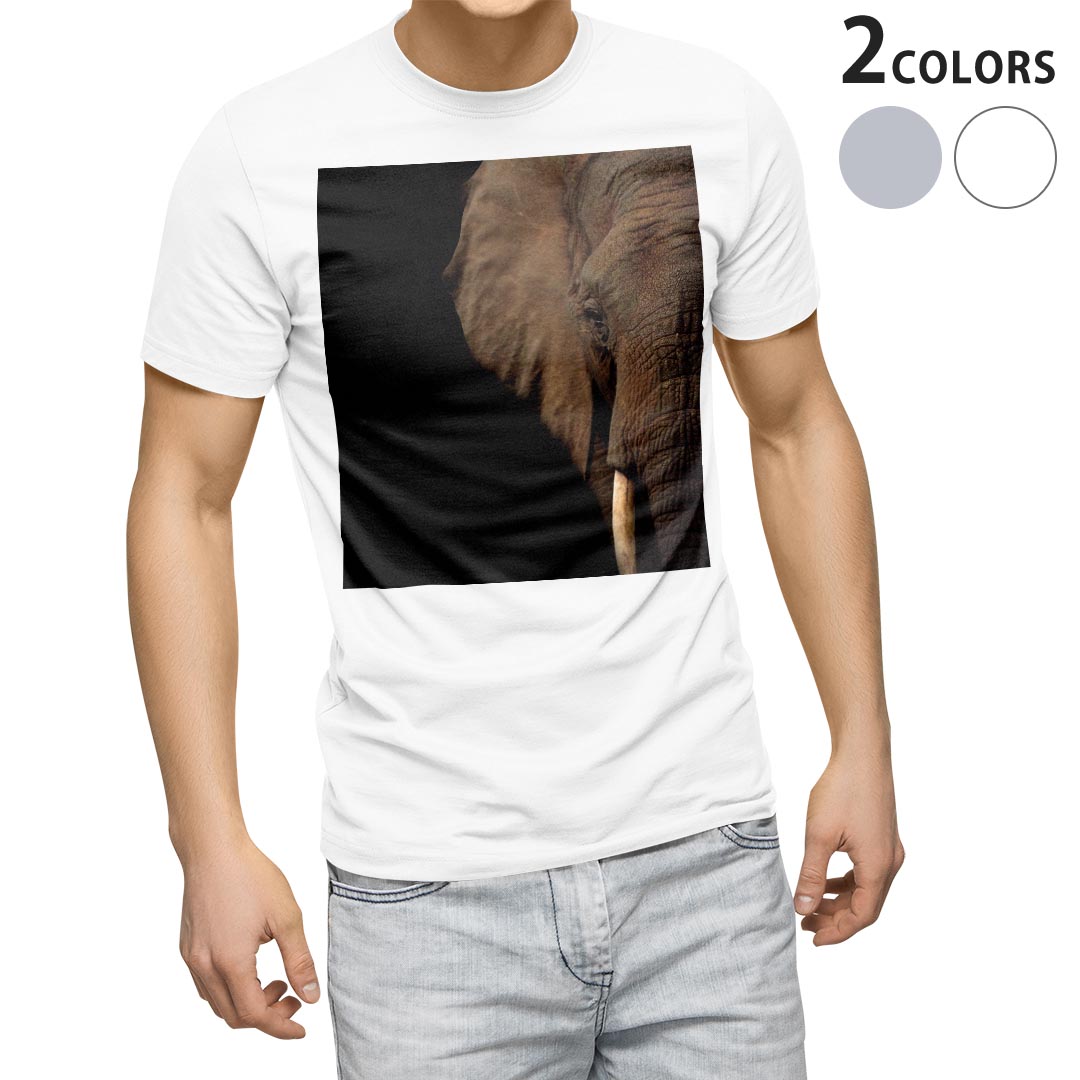 Tシャツ メンズ 半袖 ホワイト グレー デザイン S M L XL 2XL Tシャツ ティーシャツ T shirt 023247 ゾウ　動物　アニマル