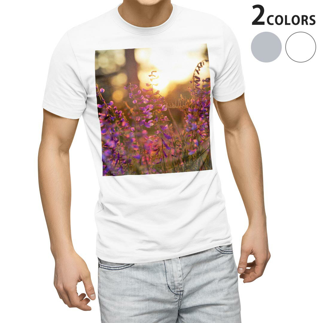 Tシャツ メンズ 半袖 ホワイト グレー デザイン S M L XL 2XL Tシャツ ティーシャツ T shirt 023316 花　フラワー　景色　写真