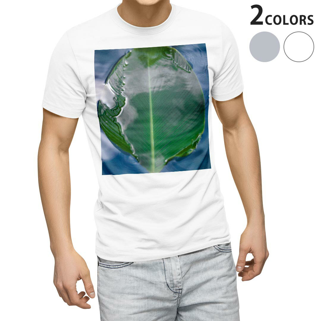 Tシャツ メンズ 半袖 ホワイト グレー デザイン S M L XL 2XL Tシャツ ティーシャツ T shirt 023503 葉っぱ 植物