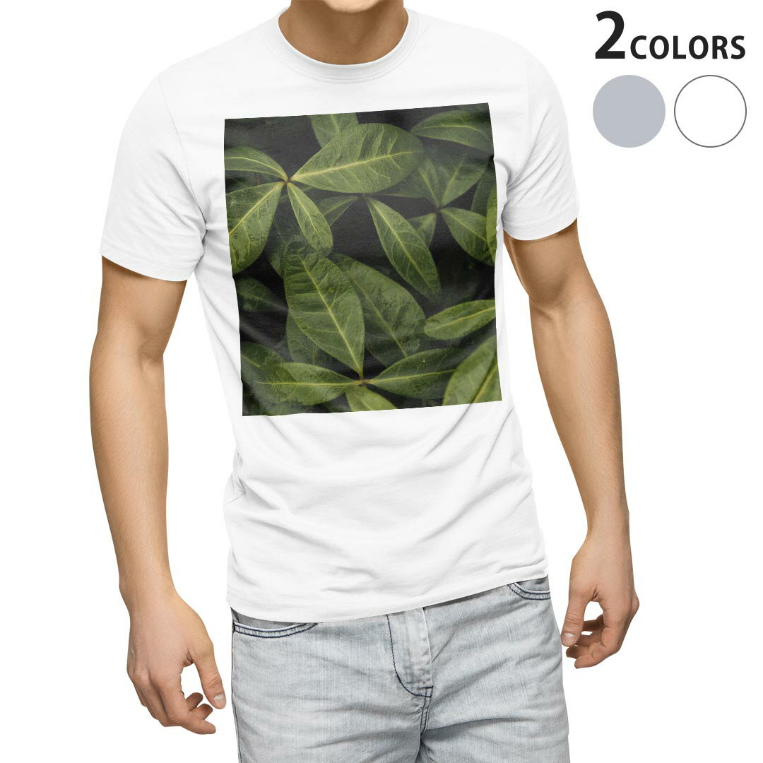 Tシャツ メンズ 半袖 ホワイト グレー デザイン S M L XL 2XL Tシャツ ティーシャツ T shirt 023507 葉っぱ　植物