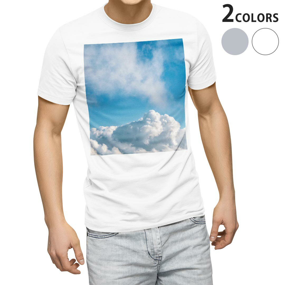 Tシャツ メンズ 半袖 ホワイト グレー デザイン S M L XL 2XL Tシャツ ティーシャ...