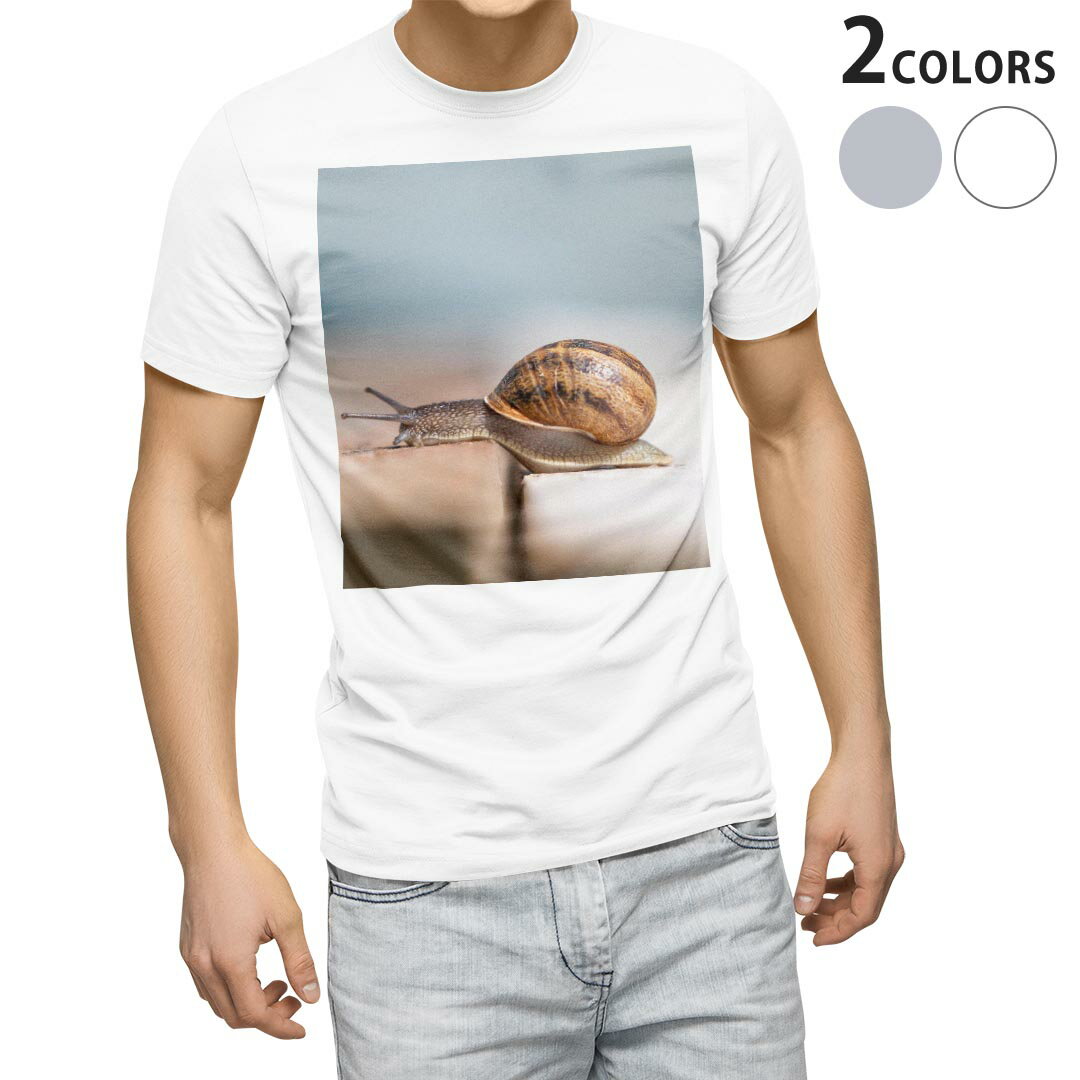 tシャツ メンズ 半袖 ホワイト グレー デザイン XS S M L XL 2XL Tシャツ ティーシャツ T shirt　白 灰色 上記で使用したデザインTシャツはこちらから 画像をクリックで商品へ▼男性用半袖Tシャツ　ホワイト・グレー全デザインはこちらから▼ ▼男性用半袖Tシャツ　ブラック全デザインはこちらから▼▼男性用半袖Tシャツ　カラー全デザインはこちらから▼
