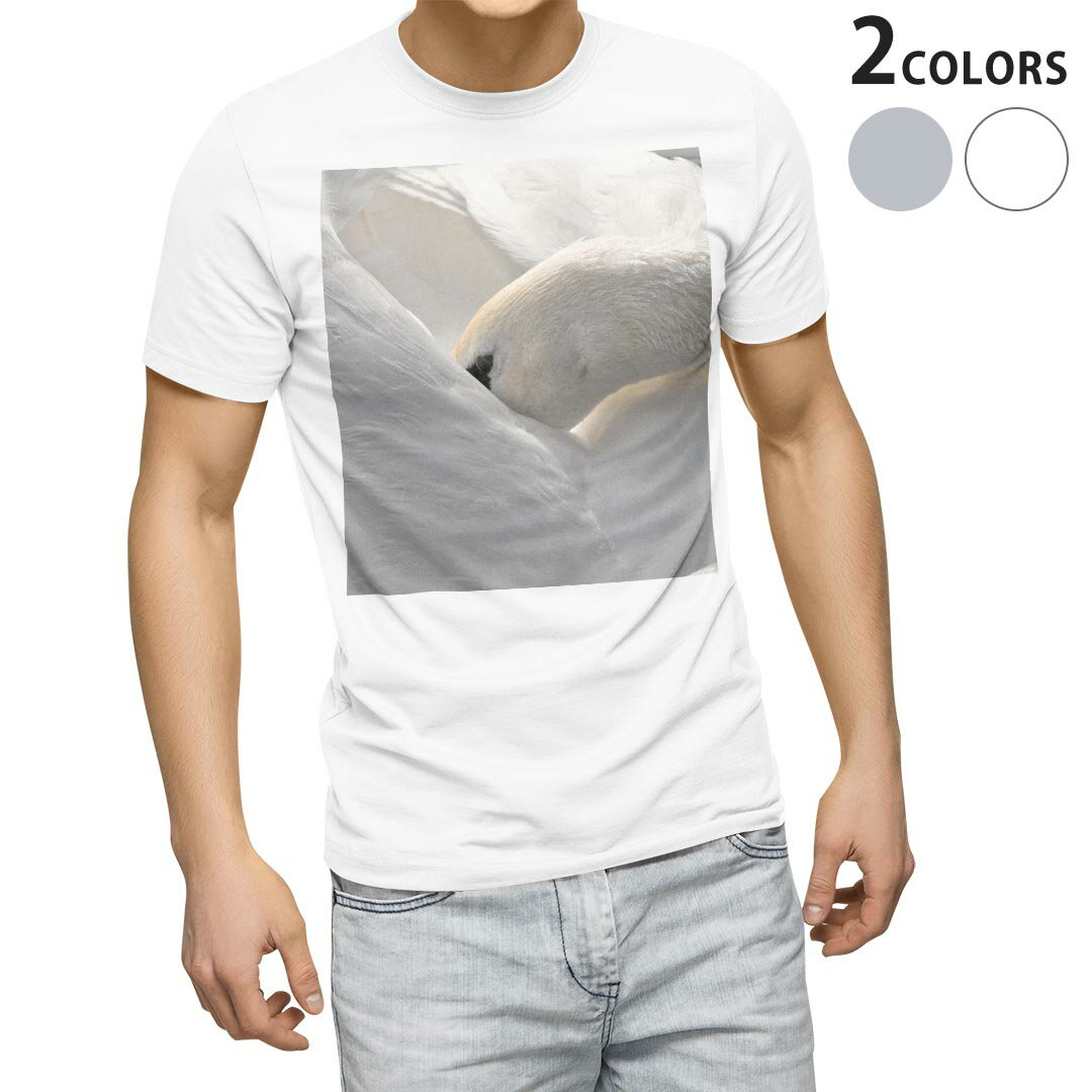 楽天市場】白鳥 tシャツの通販
