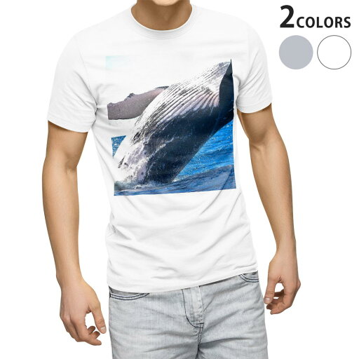 Tシャツ メンズ 半袖 ホワイト グレー デザイン S M L XL 2XL Tシャツ ティーシャツ T shirt 023966 くじら 写真 海 Tシャツ メンズ 半袖 ホワイト グレー デザイン S M L XL 2XL Tシャツ ティーシャツ T shirt 023966 くじら 写真 海