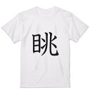 Tシャツ メンズ 半袖 ホワイト グレー デザイン S M L XL 2XL Tシャツ ティーシャツ T shirt 027441 眺