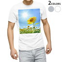 Tシャツ メンズ 半袖 ホワイト グレー デザイン S M L XL 2XL Tシャツ ティーシャツ T shirt 005089 ひまわり 写真 太陽