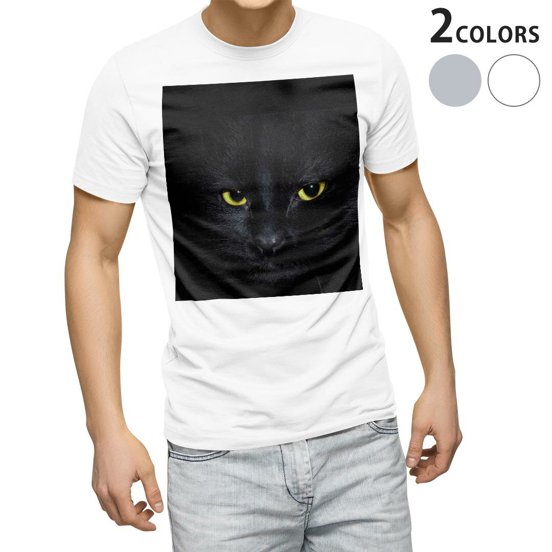 Tシャツ メンズ 半袖 ホワイト グレー デザイン S M L XL 2XL Tシャツ ティーシャツ T shirt 006447 写真 猫 ねこ