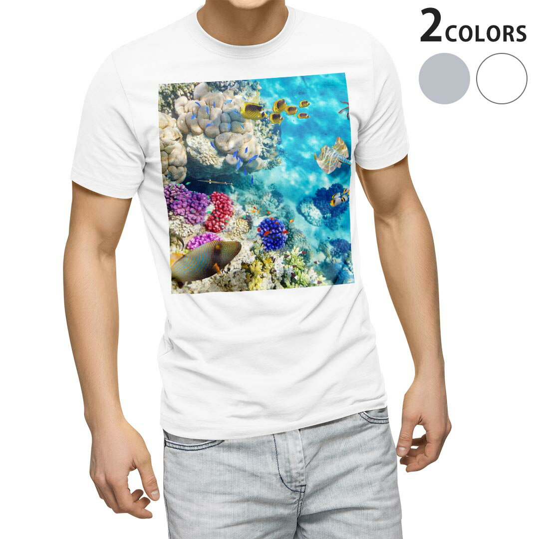 Tシャツ メンズ 半袖 ホワイト グレー デザイン S M L XL 2XL Tシャツ ティーシャツ T shirt 008923 写真　魚　海　珊瑚