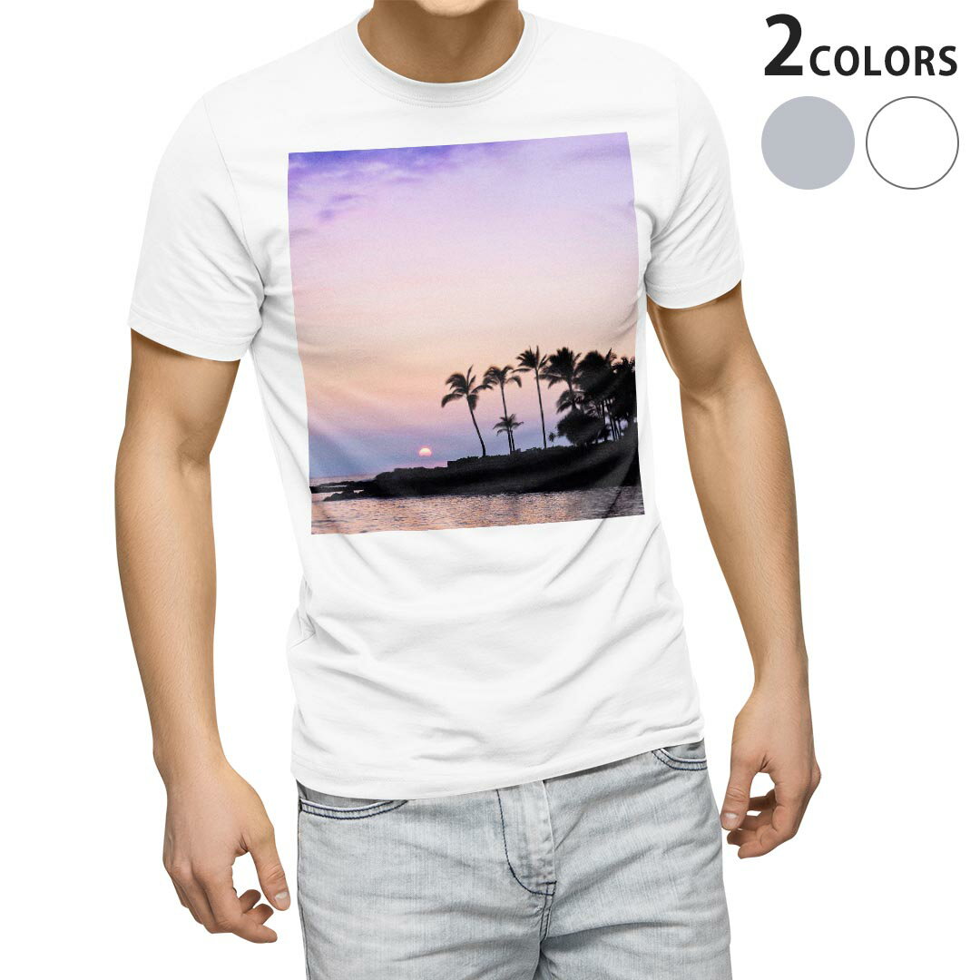 tシャツ メンズ 半袖 ホワイト グレー デザイン XS S M L XL 2XL Tシャツ ティーシャツ T shirt 009393 風景　景色　写真