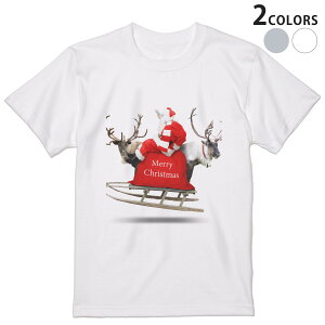 tシャツ メンズ 半袖 ホワイト グレー デザイン XS S M L XL 2XL Tシャツ ティーシャツ T shirt 009971 クリスマス　サンタ　写真