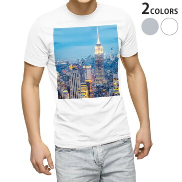 tシャツ メンズ 半袖 ホワイト グレー デザイン XS S M L XL 2XL Tシャツ ティーシャツ T shirt 010345 風景　景色　写真
