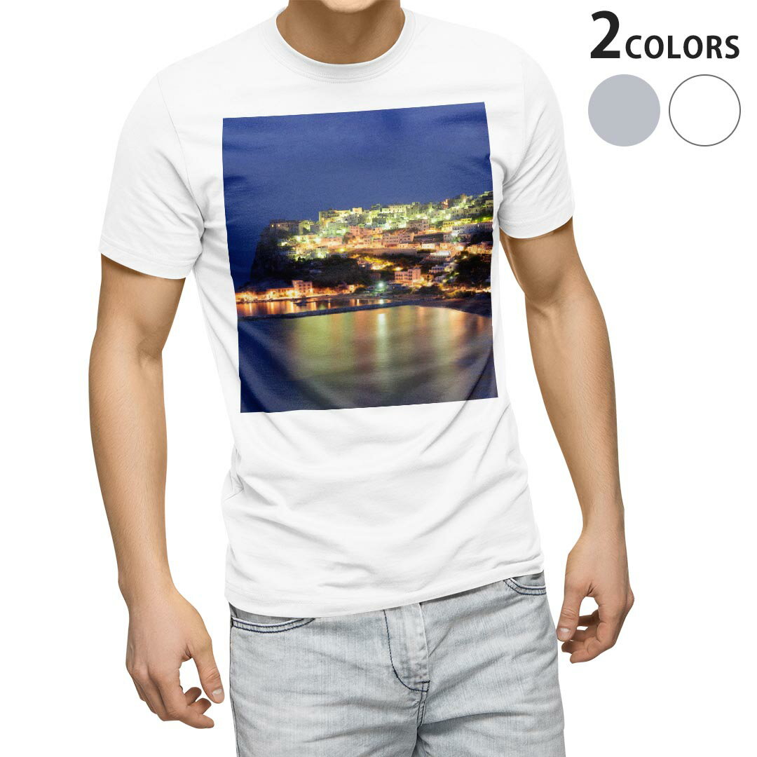 Tシャツ メンズ 半袖 ホワイト グレー デザイン S M L XL 2XL Tシャツ ティーシャツ T shirt 010382 風景　景色　写真