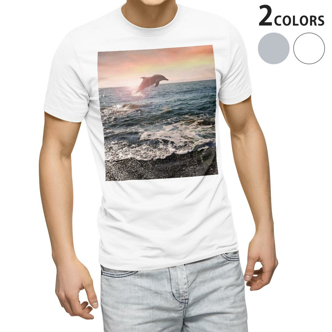 Tシャツ メンズ 半袖 ホワイト グレー デザイン S M L XL 2XL Tシャツ ティーシャツ T shirt 010940 海　イルカ　写真