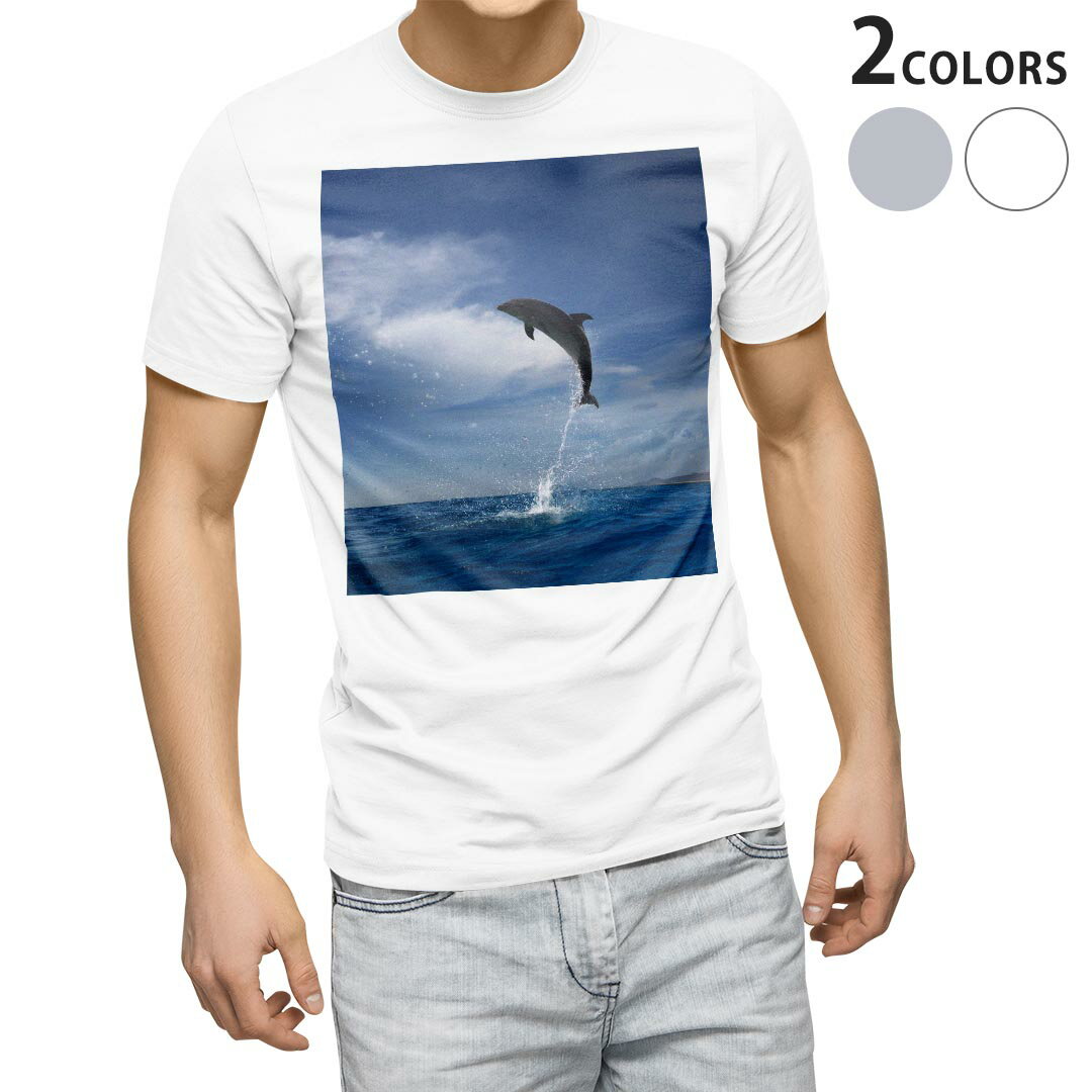 Tシャツ メンズ 半袖 ホワイト グレー デザイン S M L XL 2XL Tシャツ ティーシャツ T shirt 010965 海　イルカ　写真