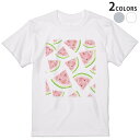 Tシャツ メンズ 半袖 ホワイト グレー デザイン S M L XL 2XL Tシャツ ティーシャツ T shirt 012205 スイカ　果物　夏