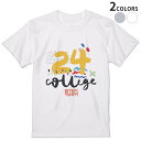 tシャツ メンズ 半袖 ホワイト グレー デザイン XS S M L XL 2XL Tシャツ ティーシャツ T shirt 012317 数字　カラフル　文字