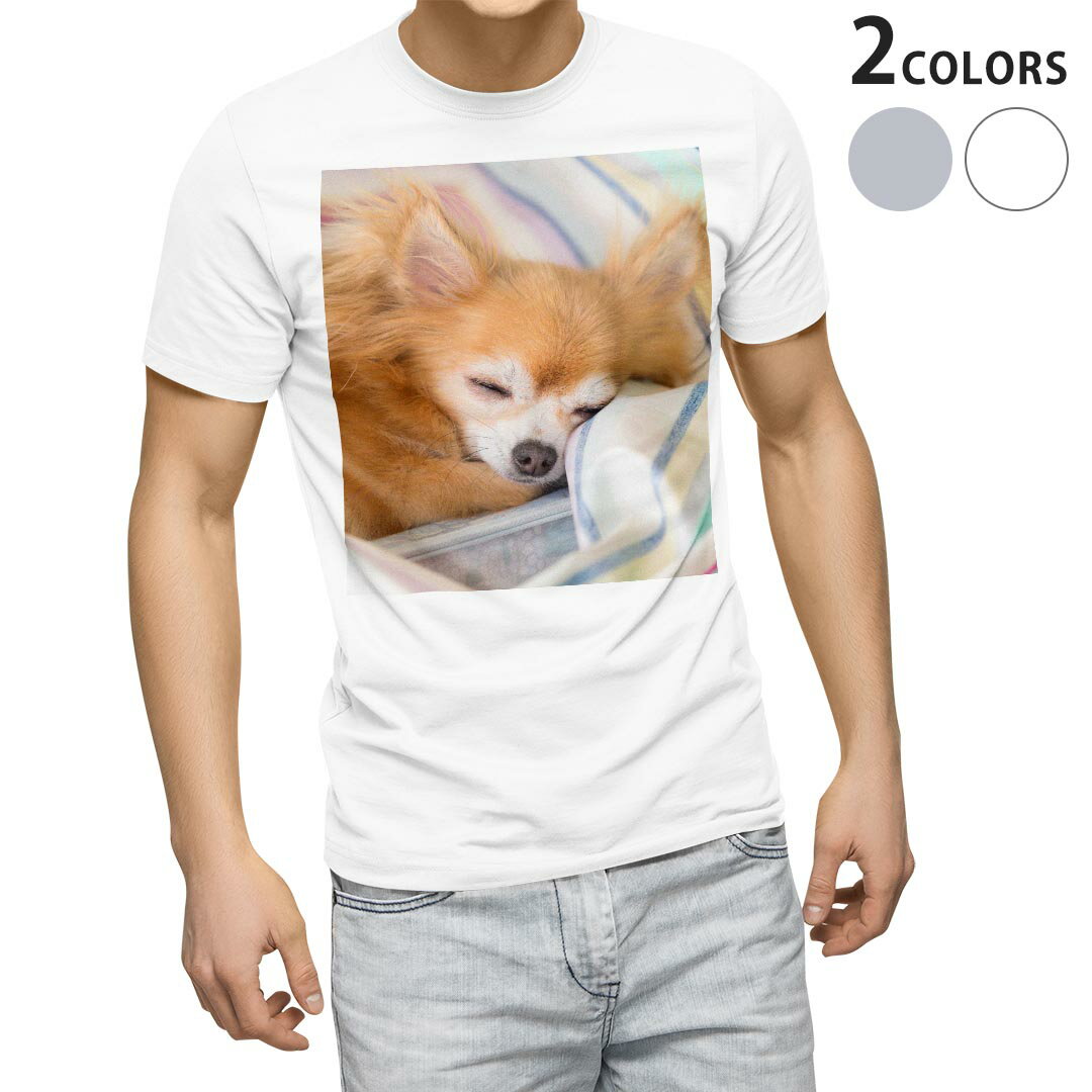 Tシャツ メンズ 半袖 ホワイト グレー デザイン S M L XL 2XL Tシャツ ティーシャツ T shirt 014826 犬 チワワ 写真