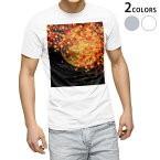 tシャツ メンズ 半袖 ホワイト グレー デザイン XS S M L XL 2XL Tシャツ ティーシャツ T shirt 015640 和柄　紅葉　月　満月　和風