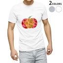 Tシャツ メンズ 半袖 ホワイト グレー デザイン S M L XL 2XL Tシャツ ティーシャツ T shirt 016192 カボチャ 食べ物(4)