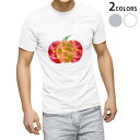 tシャツ メンズ 半袖 ホワイト グレー デザイン XS S M L XL 2XL Tシャツ ティーシャツ T shirt 016192 カボチャ　食べ物