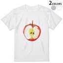 tVc Y  zCg O[ fUC S M L XL 2XL TVc eB[Vc T shirt 017535 S@񂲁@Apple