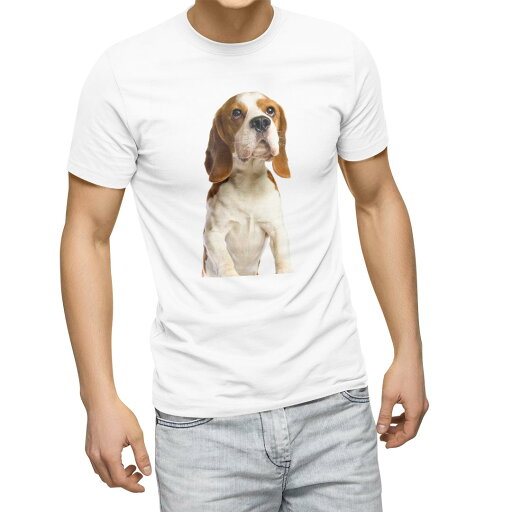 Tシャツ メンズ 半袖 ホワイト 無地 デザイン M ティーシャツ T shirt 001147 犬 ビーグル Tシャツ メンズ 半袖 ホワイト 無地 デザイン M ティーシャツ T shirt 001147 犬 ビーグル