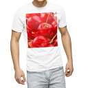 Tシャツ メンズ 半袖 ホワイト 無地 デザイン M ティーシャツ T shirt 001597 さくらんぼ 果実