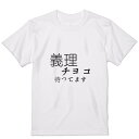 Tシャツ メンズ 半袖 ホワイト 無地 デザイン M ティーシャツ T shirt 031573 義理チョコ待ってます 文字