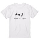 Tシャツ メンズ 半袖 ホワイト 無地 デザイン M ティーシャツ T shirt 031574 チョコを与えないでください 文字