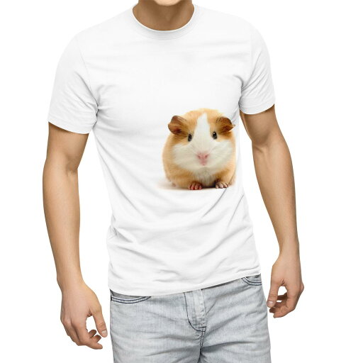 Tシャツ メンズ 半袖 ホワイト 無地 デザイン M ティーシャツ T shirt 006036 写真 動物 ハムスター Tシャツ メンズ 半袖 ホワイト 無地 デザイン M ティーシャツ T shirt 006036 写真 動物 ハムスター