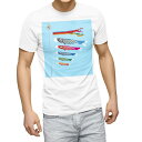 Tシャツ メンズ 半袖 ホワイト 無地 デザイン M ティーシャツ T shirt 013174 こいのぼり こどもの日 節句