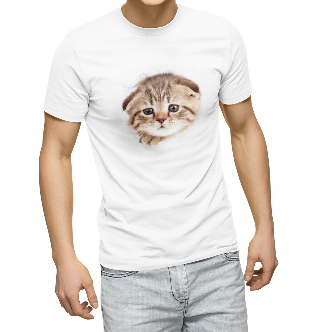 Tシャツ メンズ 半袖 ホワイト 無地 デザイン M ティーシャツ T shirt 013568 猫　写真　子猫