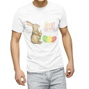 Tシャツ メンズ 半袖 ホワイト 無地 デザイン M ティーシャツ T shirt 015391 イースター たまご とり うさぎ パステル