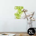 ポスター ウォールステッカー シール式ステッカー 飾り 127×178mm 2L 写真 フォト 壁 インテリア おしゃれ 剥がせる wall sticker poster 008124 動物 足跡 緑 グリーン