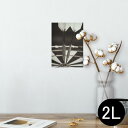 ポスター ウォールステッカー シール式ステッカー 飾り 127×178mm 2L 写真 フォト 壁 インテリア おしゃれ 剥がせる wall sticker poster 008208 モノクロ 写真 ダーツ 白黒