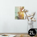 |X^[ EH[XebJ[ V[XebJ[  127~178mm 2L ʐ^ tHg  CeA  @ wall sticker poster 010529 V̖؁@i